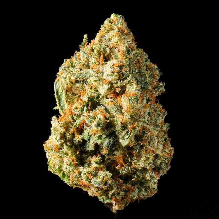 Wedding Pie THCA Flower - Lost In Translation