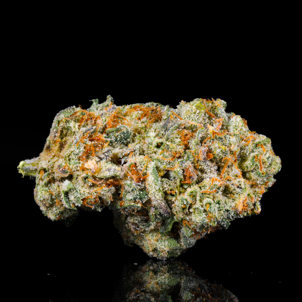 Wedding Pie THCA Flower - Lost In Translation