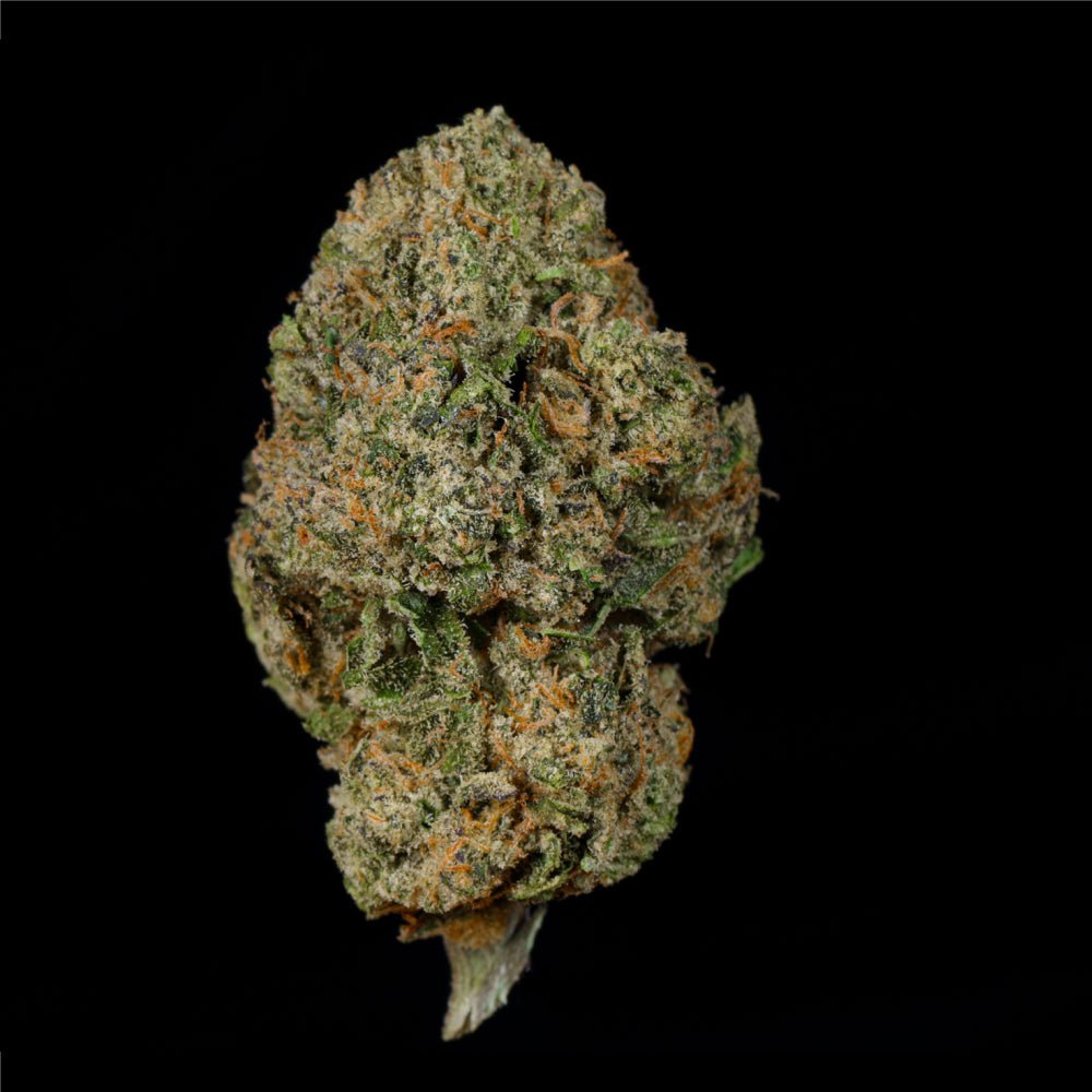 White Ash THCA Flower - Lost In Translation