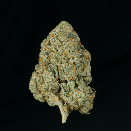 White Gummy THCA Flower - Lost In Translation