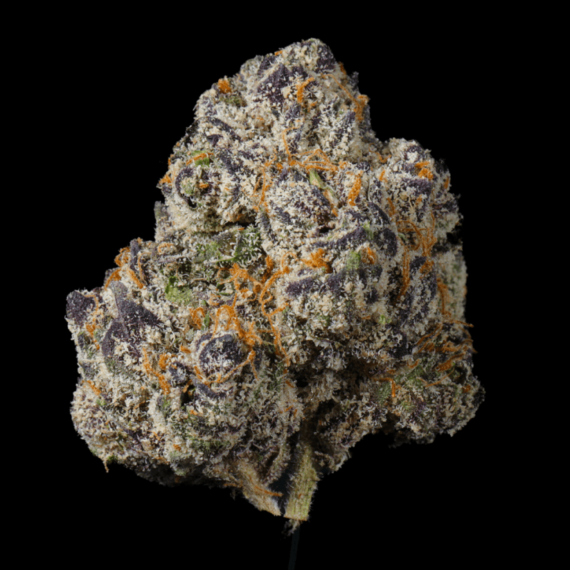 White Lemon THCA Flower - Lost In Translation