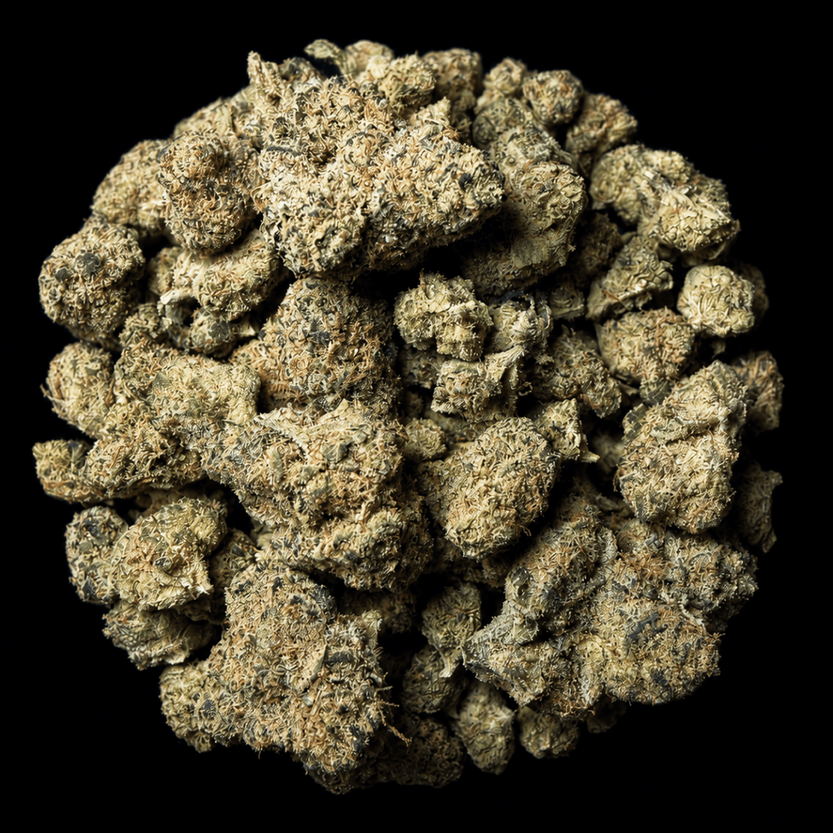 White Runtz THCA Flower - Lost In Translation