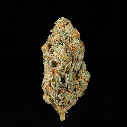 White Tahoe Cookies THCA Flower - Lost In Translation