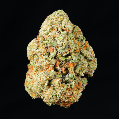 White Tahoe Cookies THCA Flower - Lost In Translation