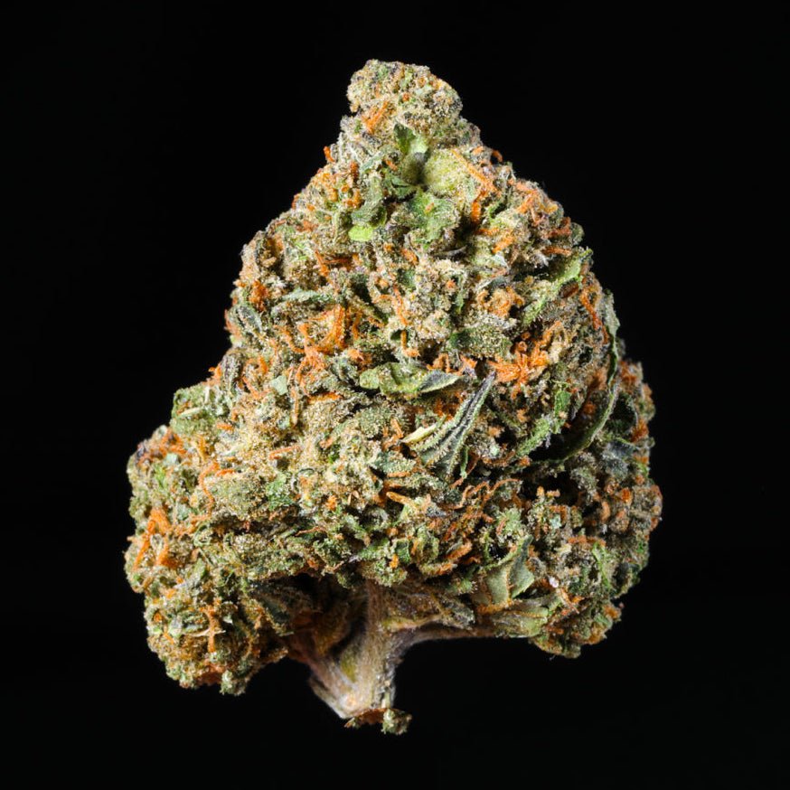 White Truffle THCA Flower - Lost In Translation