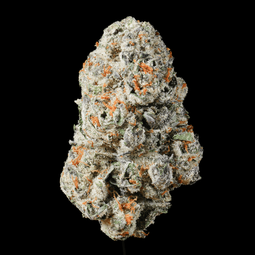 White Runtz THCA Flower – Lost In Translation