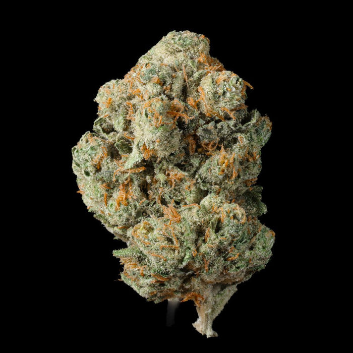 White Runtz THCA Flower - Lost In Translation