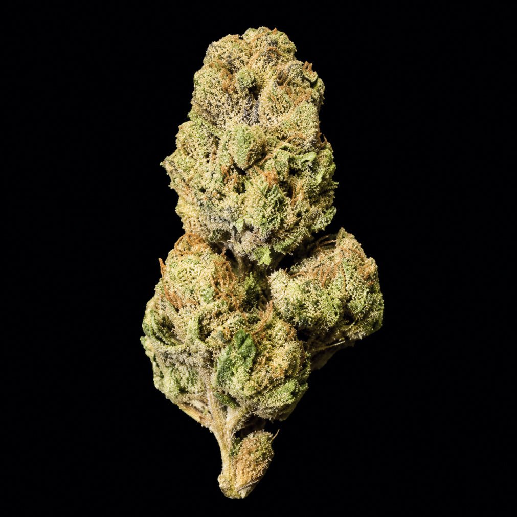White Runtz THCA Flower - Lost In Translation