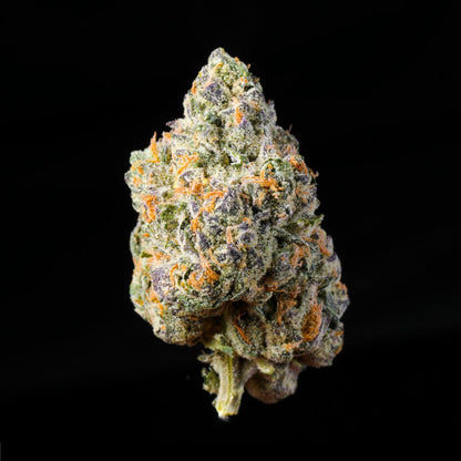 Wingsuit THCA Flower - Lost In Translation