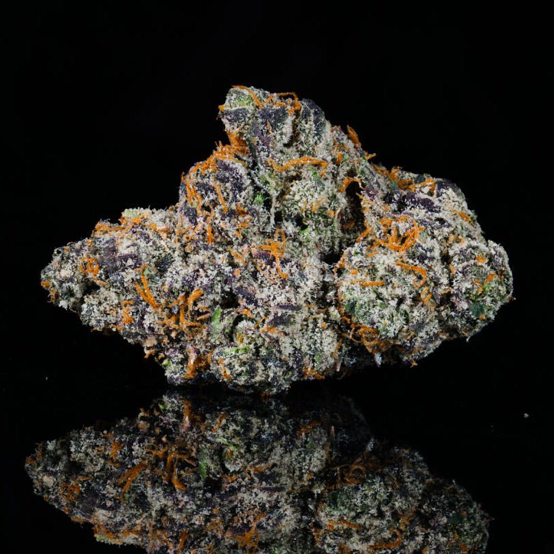 Wingsuit THCA Flower - Lost In Translation