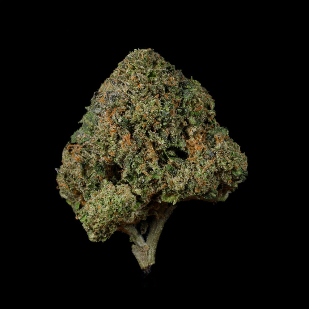 Wiz Kid THCA Flower - Lost In Translation