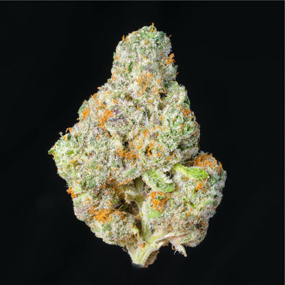 Wizard Fuel THCA Flower - Lost In Translation