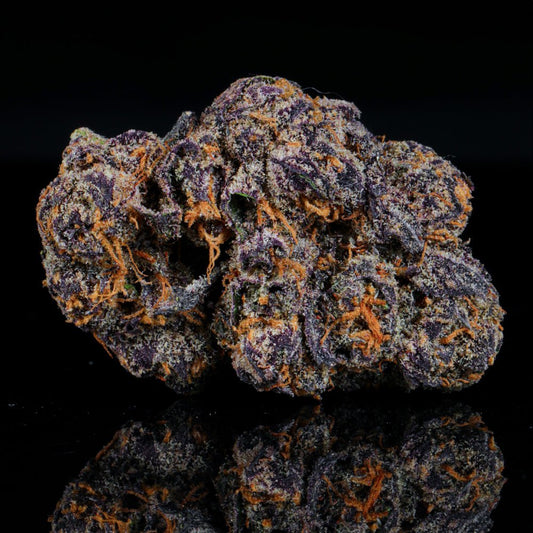 XXX THCA Flower - Lost In Translation