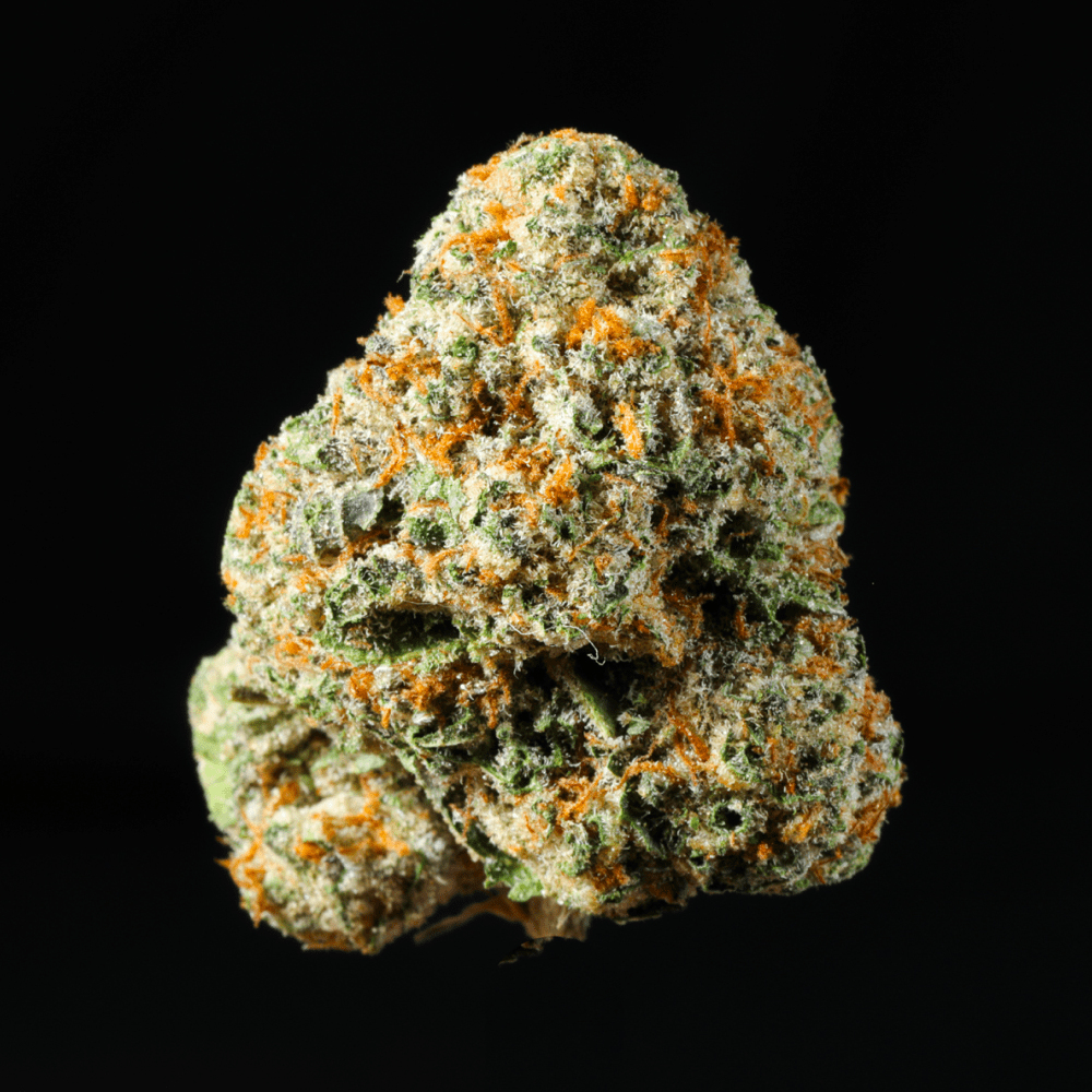 Zashimi THCA Flower - Lost In Translation