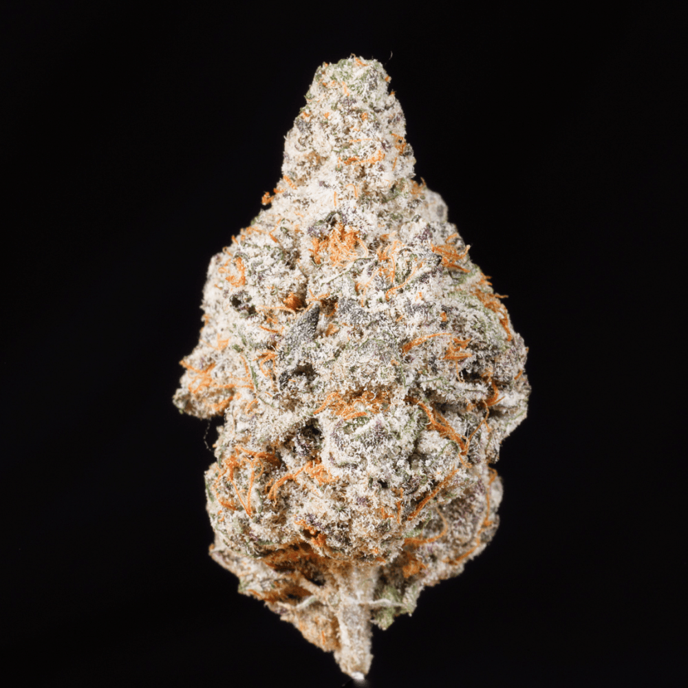 Zashimi THCA Flower - Lost In Translation