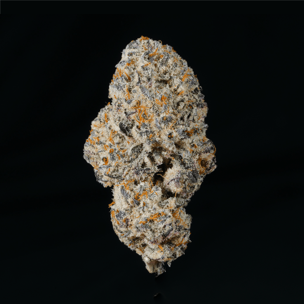 Zashimi THCA Flower – Lost In Translation