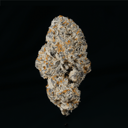 Zashimi THCA Flower - Lost In Translation