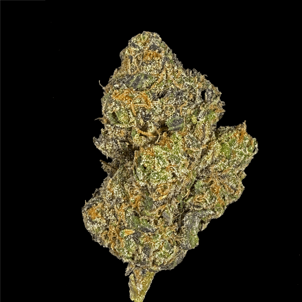 Zealousy THCA Flower (Hybrid) | Lit Farms – Lost In Translation