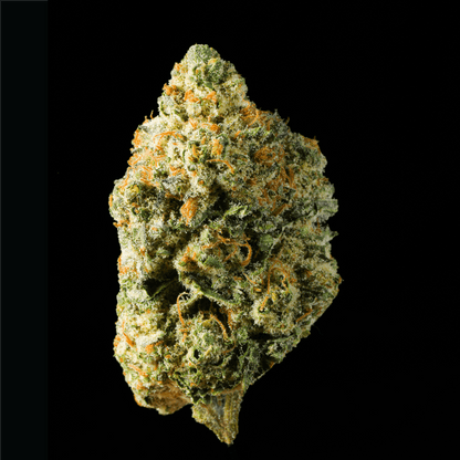 Zereal THCA Flower - Lost In Translation