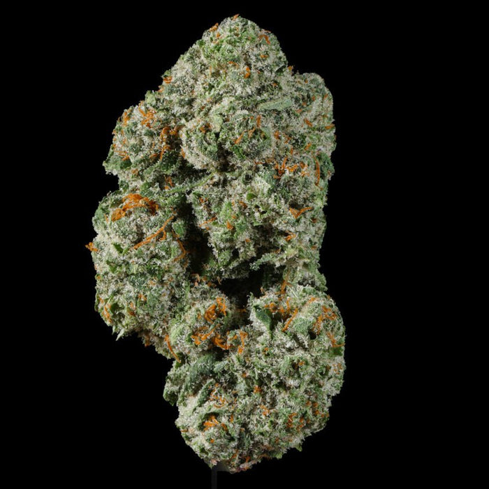 Zoap THCA Flower - Lost In Translation