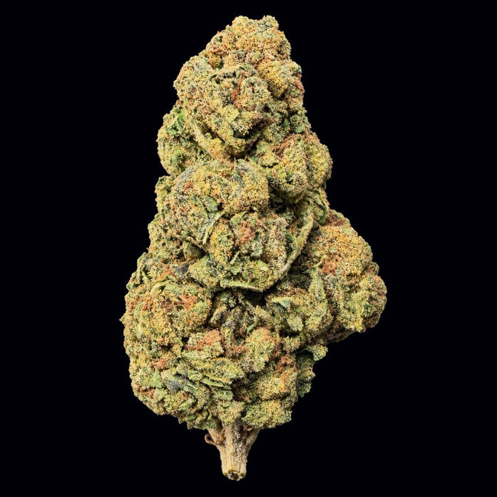 Almond Mochi THCA Flower - Lost In Translation