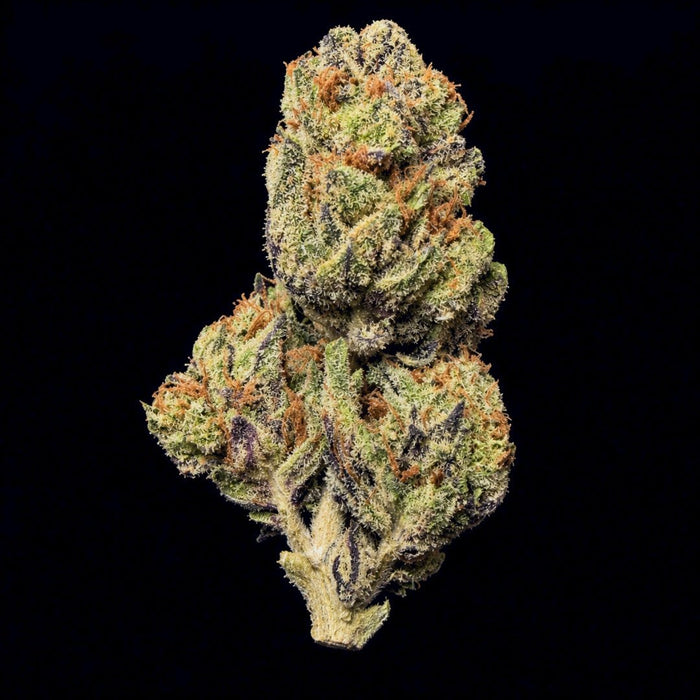 Amaretto Mintz THCA Flower - Lost In Translation