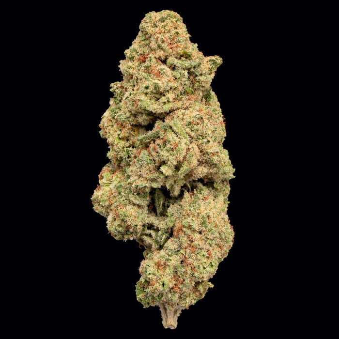 Amaretto Mintz THCA Flower - Lost In Translation