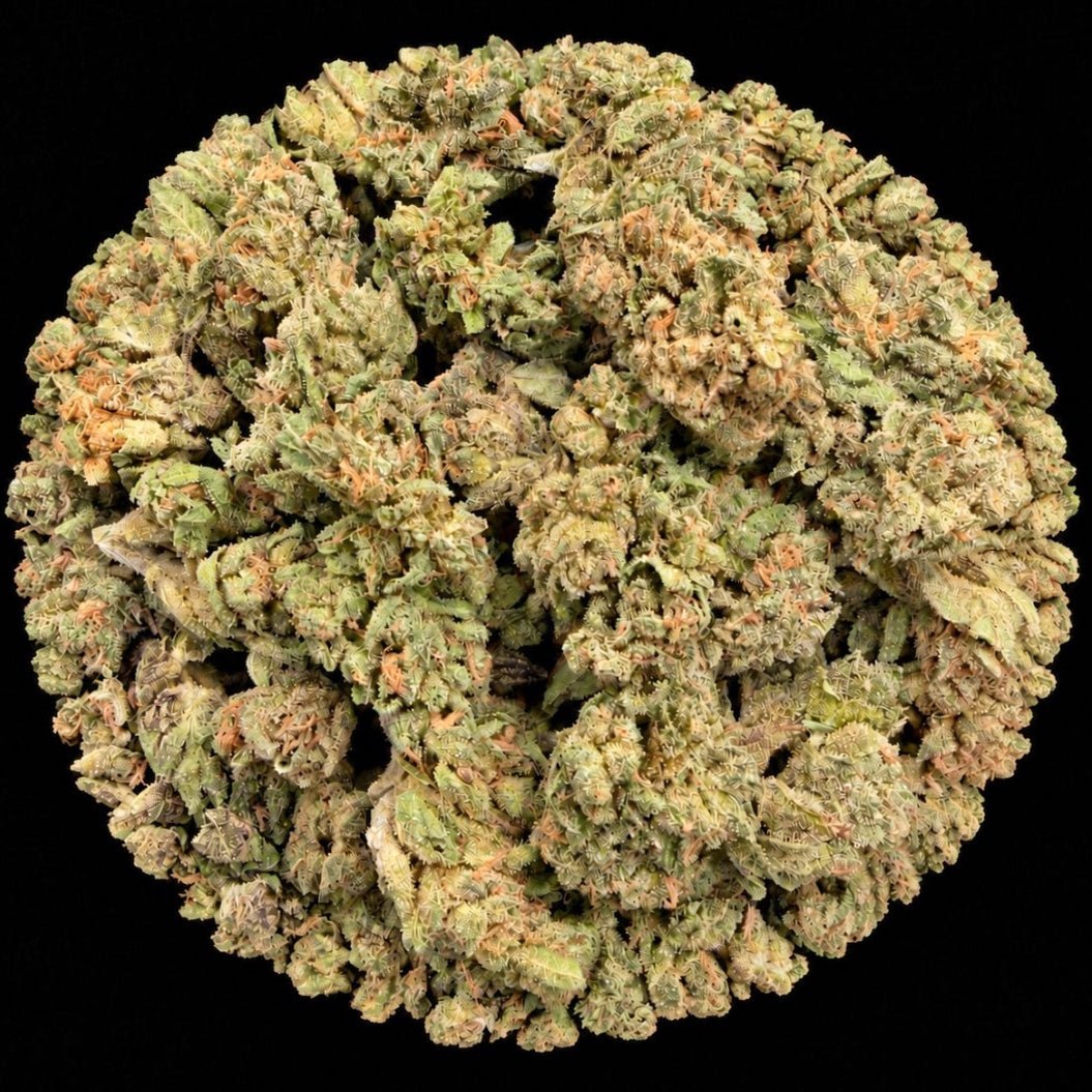 Apple Fritter THCA Flower - Lost In Translation