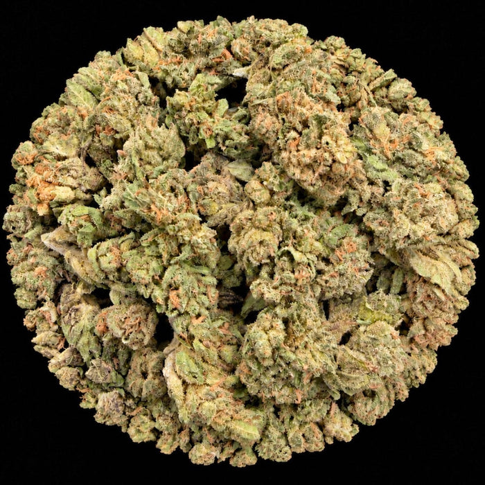 Apple Fritter THCA Flower