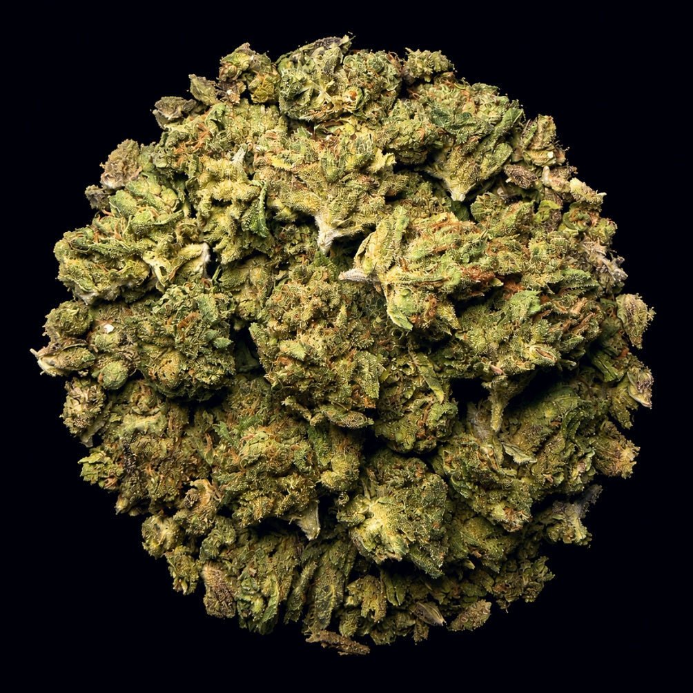 Apples ‘n Bananas THCA Flower - Lost In Translation