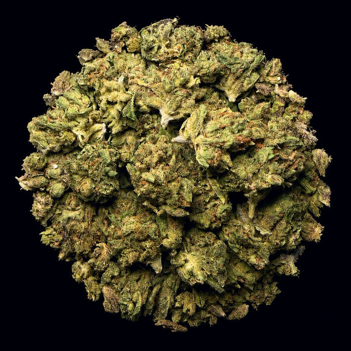 Apples ‘n Bananas THCA Flower - Lost In Translation