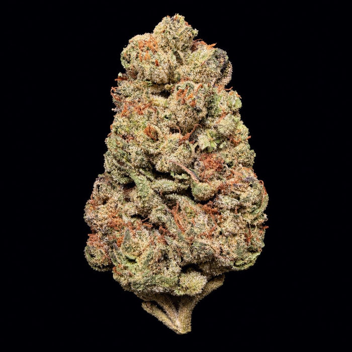 Applescotti THCA Flower - Lost In Translation