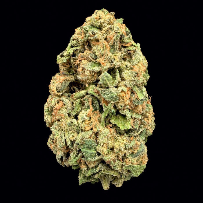 Applescotti THCA Flower - Lost In Translation