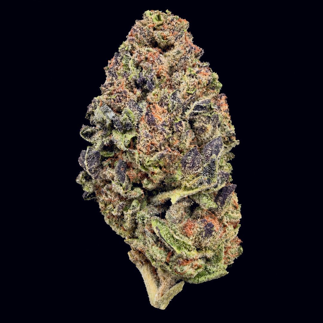 Baccio Gelato THCA Flower - Lost In Translation