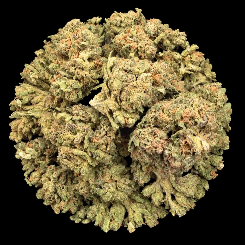 Banana Runtz THCA Flower - Lost In Translation