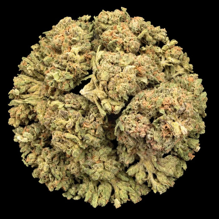 Banana Runtz THCA Flower - Lost In Translation