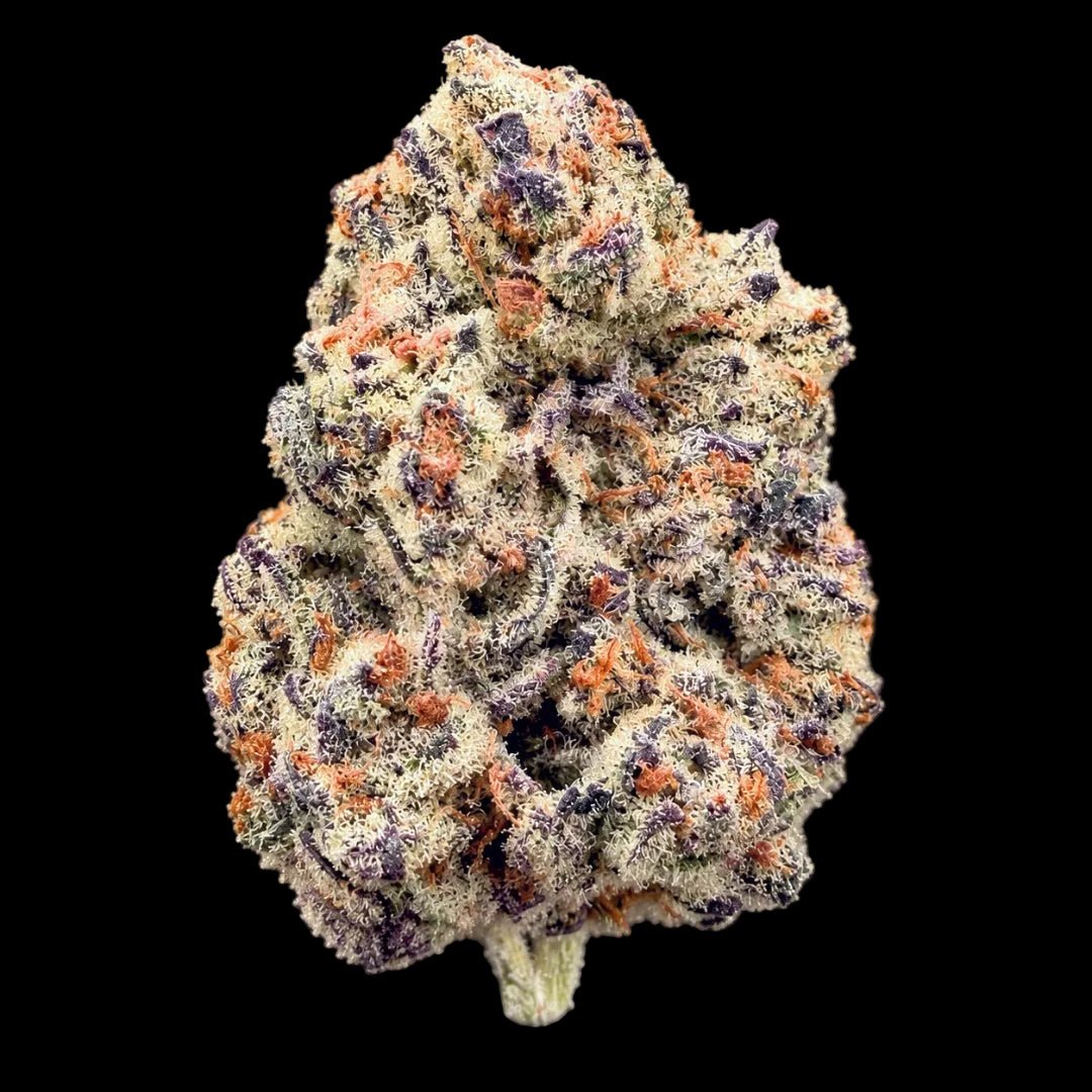 Bangkok Purple THCA Flower - Lost In Translation