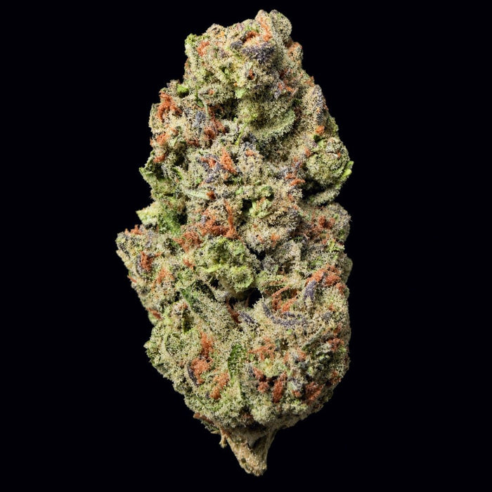 Bangkok Purple THCA Flower - Lost In Translation