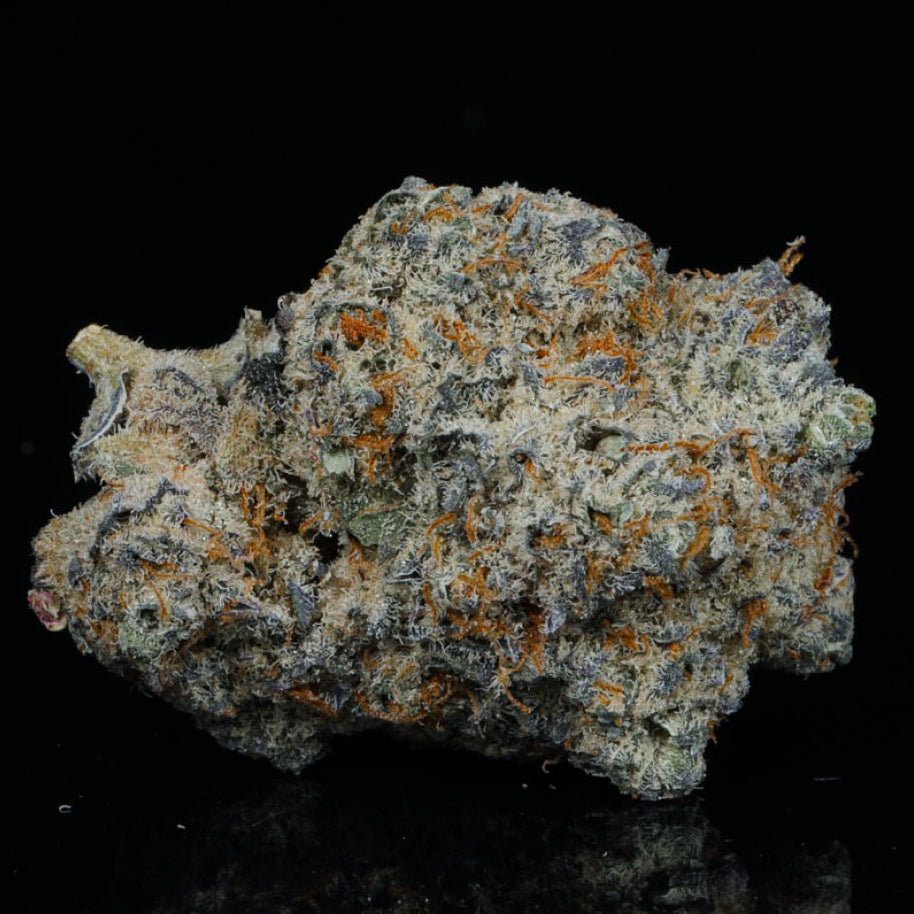 Bangkok Purple THCA Flower - Lost In Translation