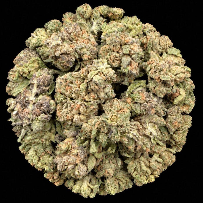 Bath Saltz THCA Flower - Lost In Translation