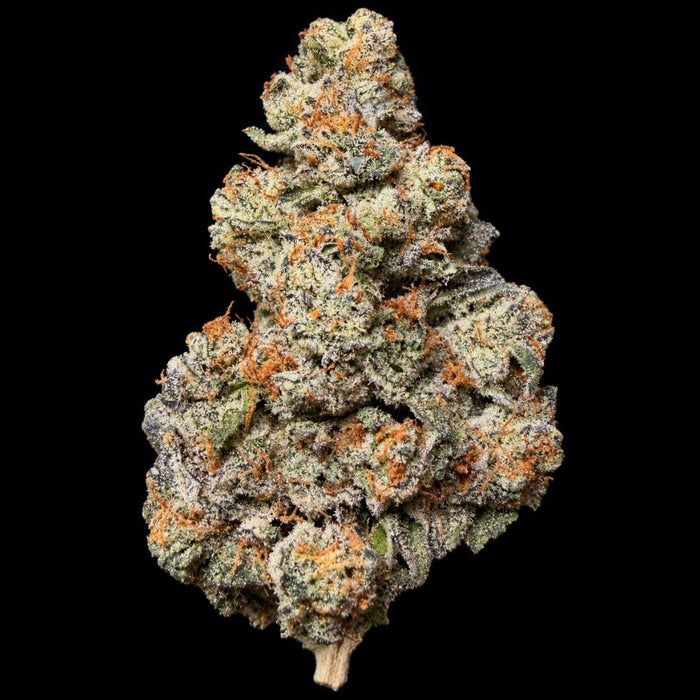 Berries and Cream THCA Flower - Lost In Translation