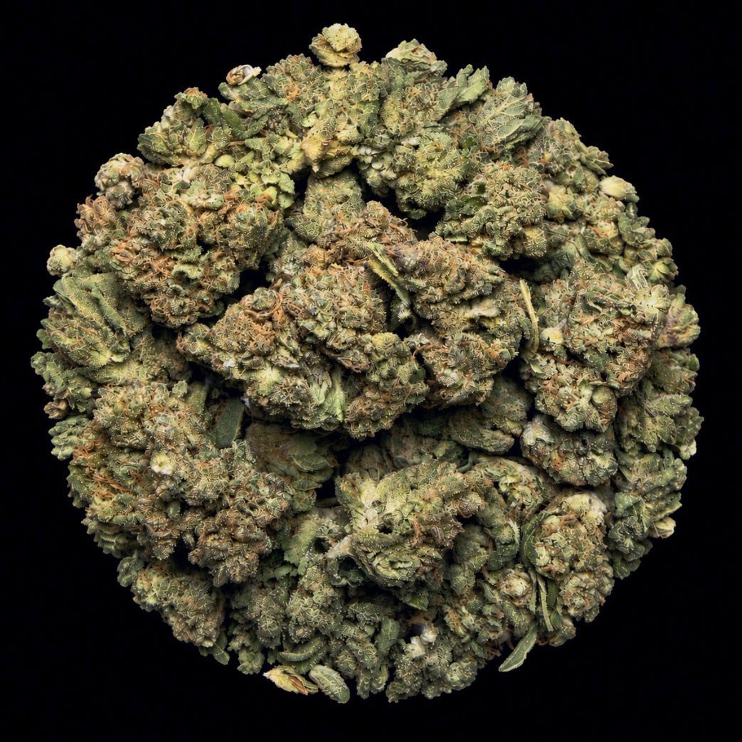 Berry Pie THCA Flower - Lost In Translation