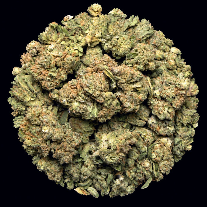 Berry Pie THCA Flower