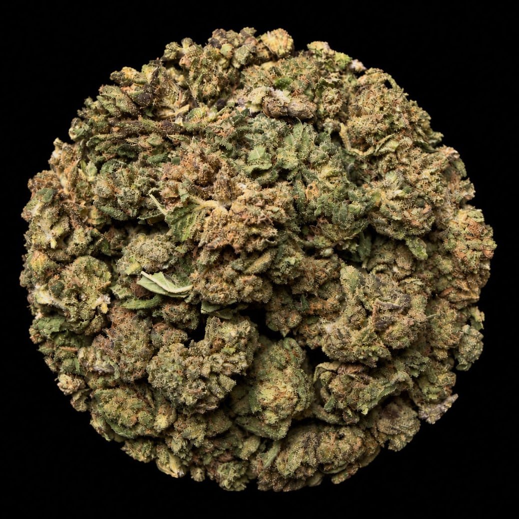 Biscotti Kush THCA Flower - Lost In Translation