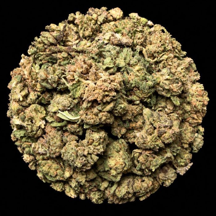 Biscotti Kush THCA Flower - Lost In Translation