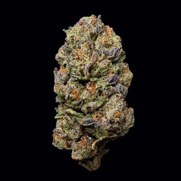 Biscotti THCA Flower - Lost In Translation