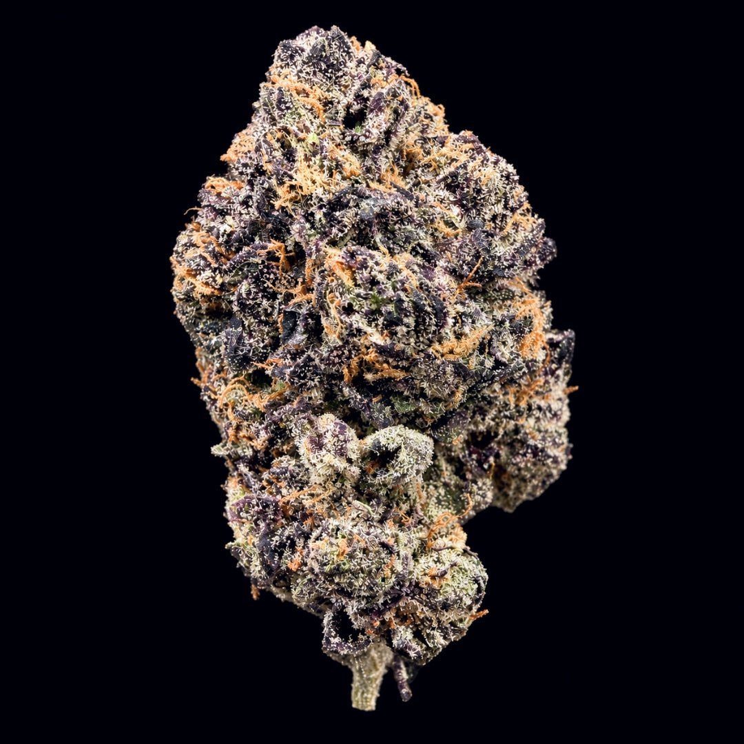 Black Cherry Gelato THCA Flower - Lost In Translation