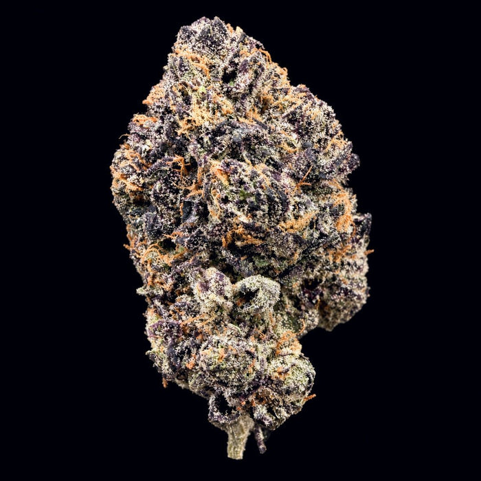 Black Cherry Gelato THCA Flower - Lost In Translation