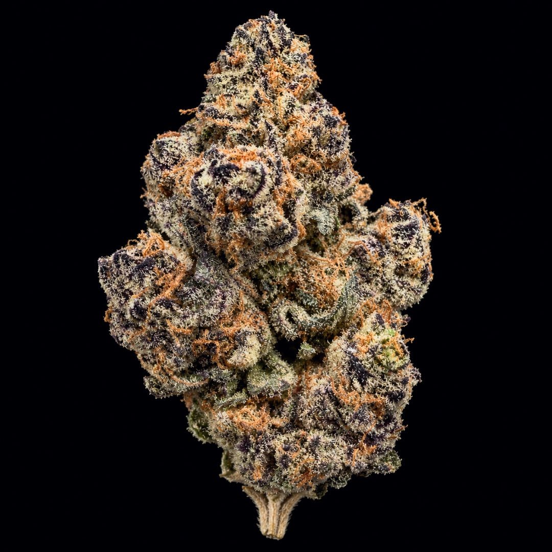 Black Magic THCA Flower - Lost In Translation