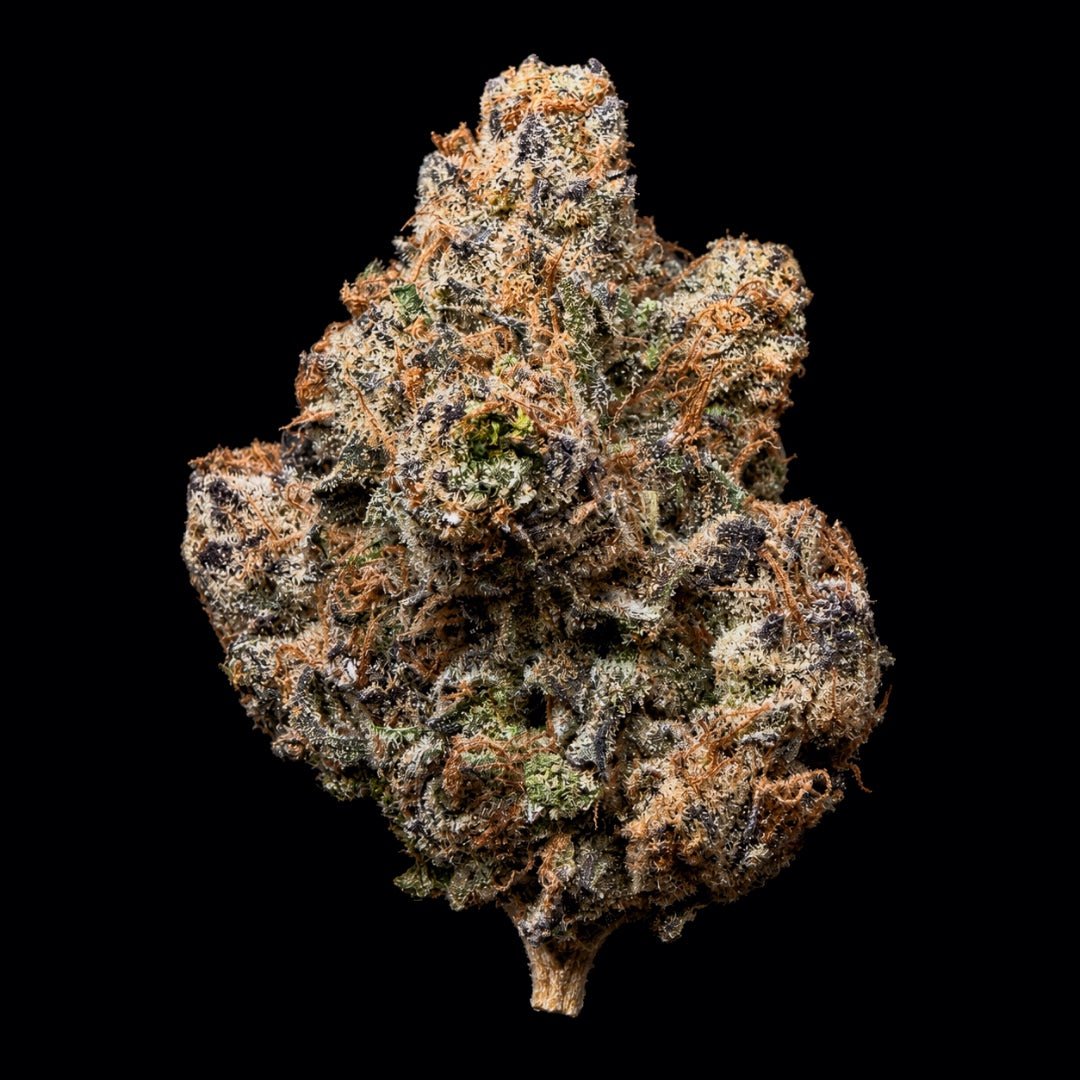 Black Runtz THCA Flower - Lost In Translation